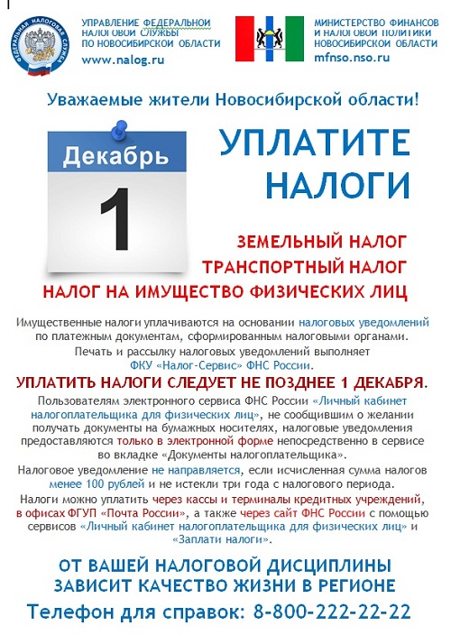 листовка1