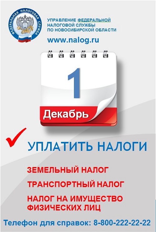 налог10